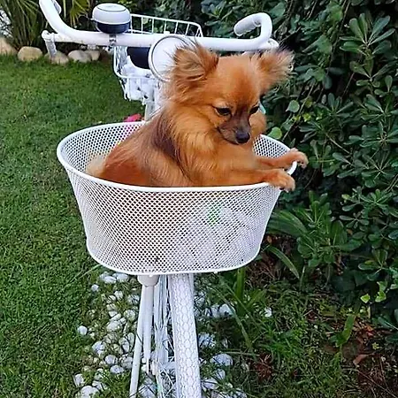 Milano 3* Marina di Pietrasanta