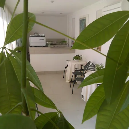 Milano Hotel Marina di Pietrasanta